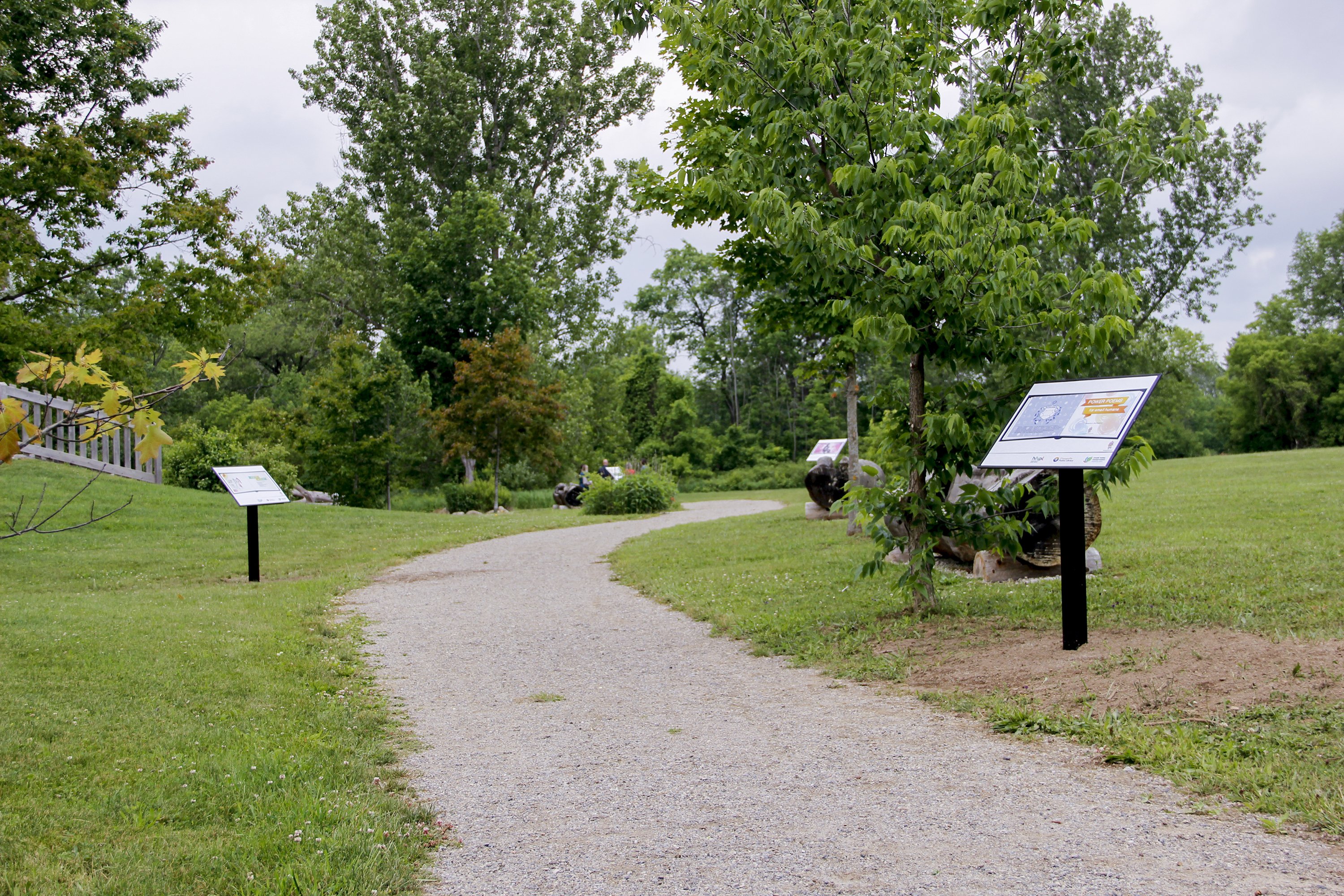 A picture of a storyboard on a nature's trail.